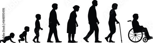 Human life stages silhouette, aging progression vector, baby to elderly graphic, development phases, generational concept, age transition illustration