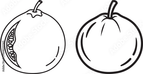Vector illustration of two gourds. Line art and black and white drawing of squash.