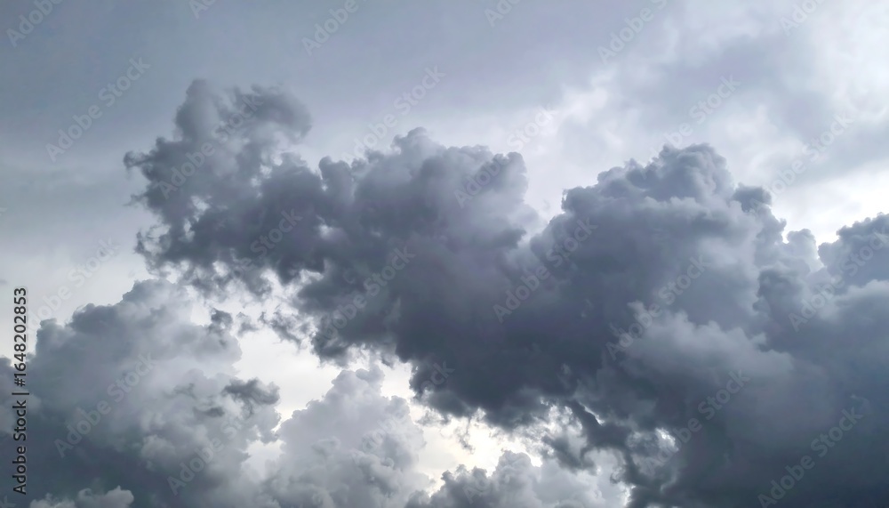 Obraz premium Gray overcast sky view