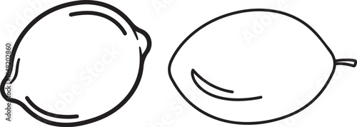 Fresh lemon and lime vector illustration in black and white. Citrus fruits outline drawing.