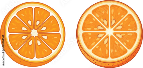 Two orange slice halves with seeds vector illustration design.