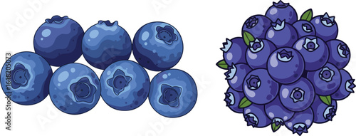 Blueberry illustration, vector art with single row and pile of blue berries with leaves