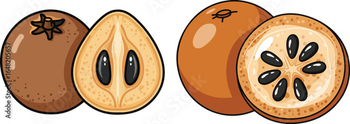 Illustration of Sapodilla fruit, whole and halved, showing seeds and pulp
