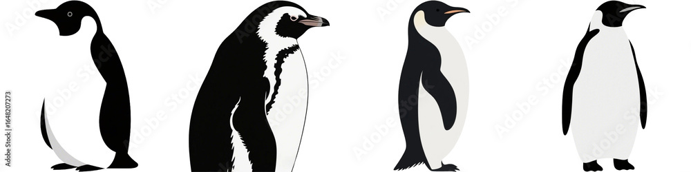 Obraz premium ペンギン 動物 生き物 イラスト