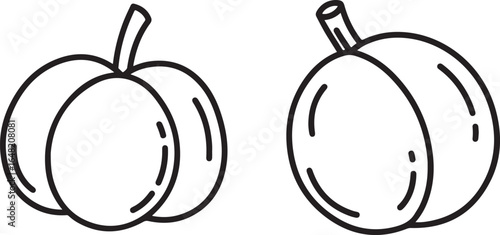 Two plums outline on white background, vector illustration