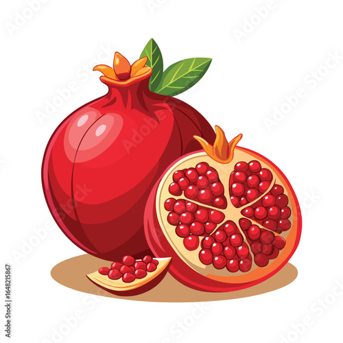 
vector illustration of pomegranate
