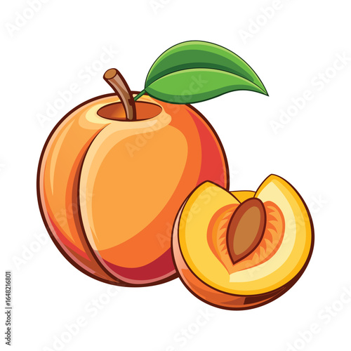 Fresh Ripe Peach Fruit Vector Illustration