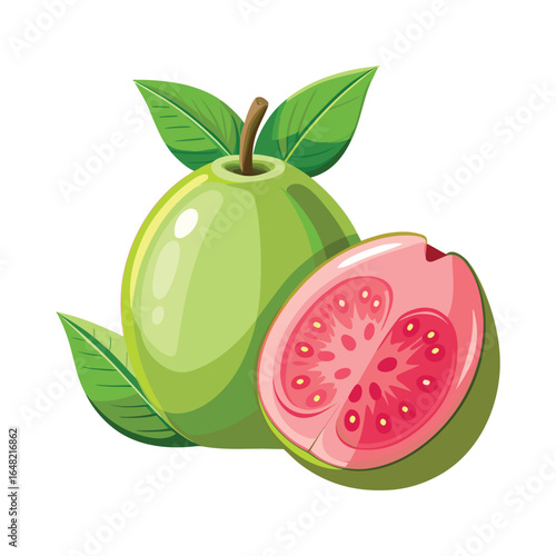 Fresh Green Guava Fruit Vector Illustration