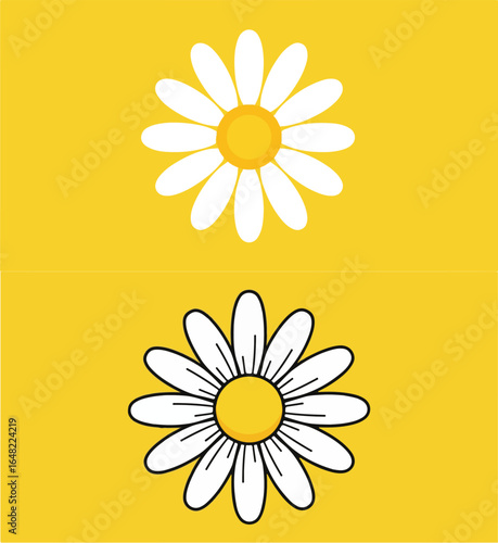 Two daisy illustrations on yellow background, vector design element