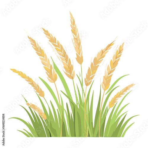 Vector Illustration of a Wheat Bush with Grains Ready for Harvest