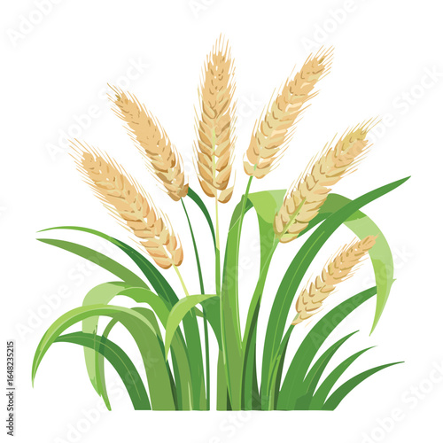 Simple Vector Illustration of Ripe Golden Wheat Ears with Green Leaves
