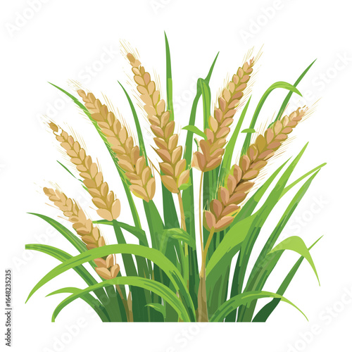Lush Bunch of Golden Wheat Ears and Green Leaves, Isolated Vector Illustration