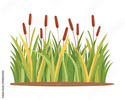Lush Green Cattail Plants and Reeds, Isolated Nature and Wetland Vector Illustration