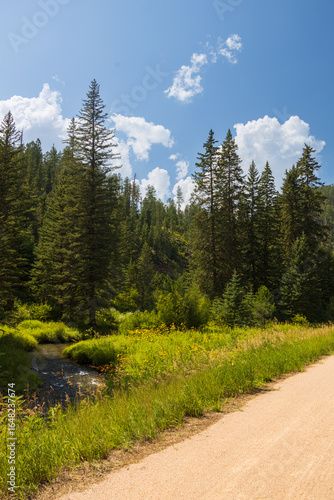 Wallpaper Mural Small stream next to the George S. Mickelson Trail, South Dakota Torontodigital.ca
