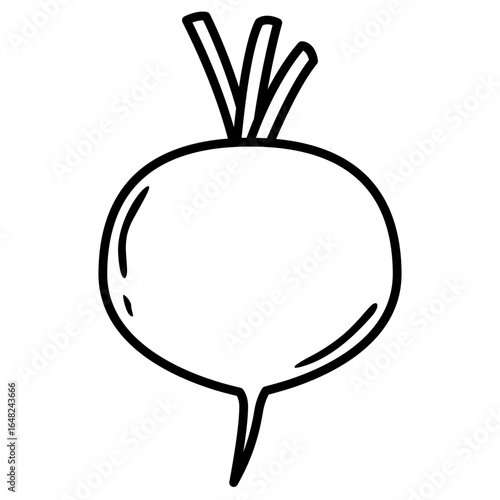 vector illustration of beetroot 