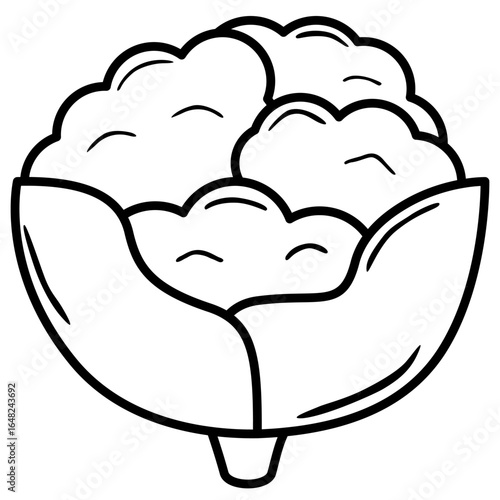 vector illustration of cauliflower 