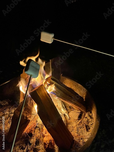 Marshmallows Roasting Over a Campfire at Night