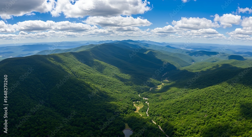 Fototapeta premium A Long Winding Road Through a Forested Mountain Valley