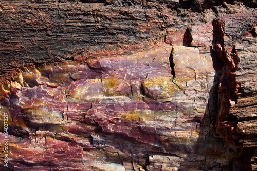 Closeup of a piece of petrified wood at Petrified Forest National Park, Arizona.