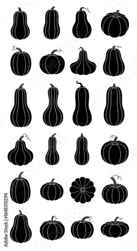 A diverse collection of gourds and pumpkins in various shapes and sizes for autumn harvest celebrations