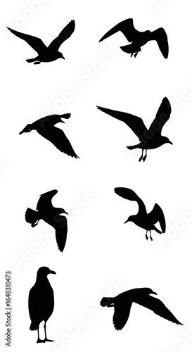 Diverse silhouettes of seagulls captured in various flight positions showcasing avian grace and freedom
