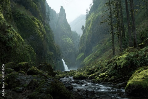 Misty, mossy canyon with waterfall