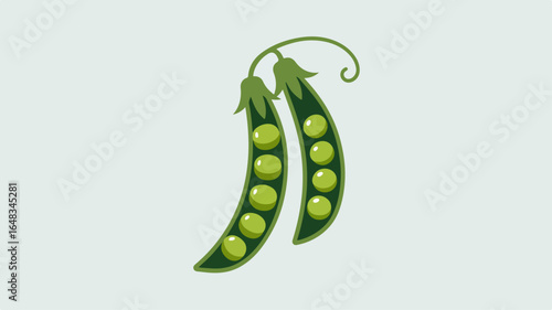 Peas in pod Illustration