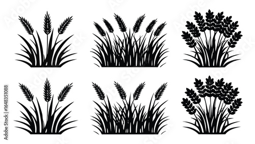 Wheat stalks and grass blades agriculture