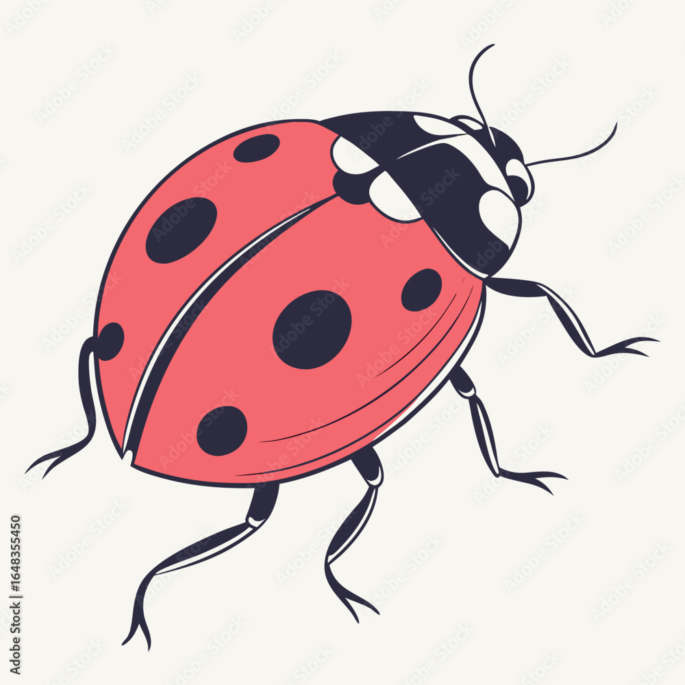 Fototapeta premium ladybug vector illustration