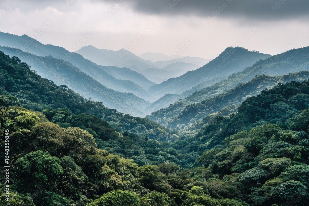 Fototapeta premium Lush green mountains, misty valley