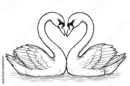 Canvas Print A vector depiction of two swans in love, necks meeting to shape a heart, purely black and white, with solid black outlines for a timeless romantic image