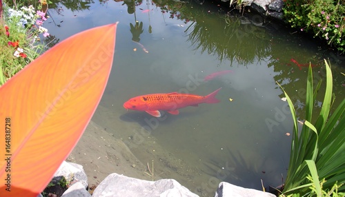 A vibrant orange koi swims in a garden pond, partially obscured by a large orange leaf