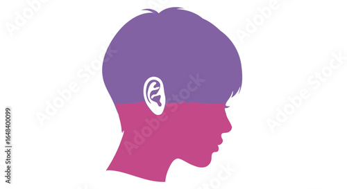 Abstract Head Profile with Dual-Tone Color Scheme and Hair Detail