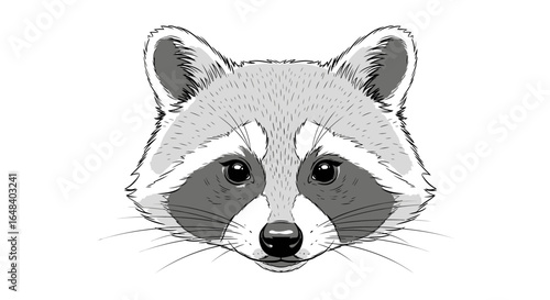 Detailed black and white illustration of a raccoon's face, headshot