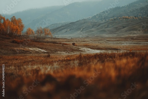 Fototapeta Naklejka Na Ścianę i Meble -  Autumnal, golden landscape with hills