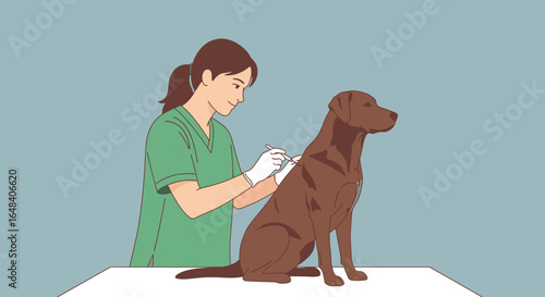 Veterinarian Administering Vaccine to Labrador Dog in a Calm and Caring Setting, Highlighting Animal Health and Pet Care Practices for Veterinary Clinics and Pet Owners