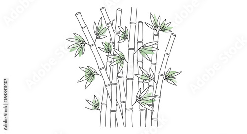 Line art illustration of bamboo stalks with leaves on a plain background
