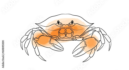 Stylized crab with orange watercolor effect on a plain white background