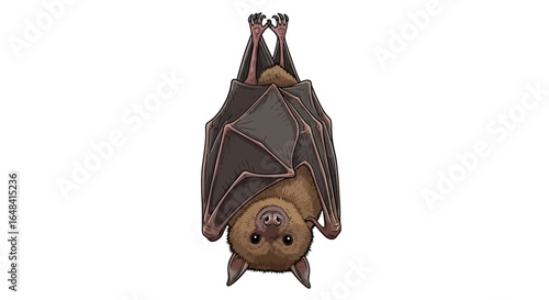 adorable upsidedown bat illustration perfect for childrens books educational materials or cute naturethemed designs