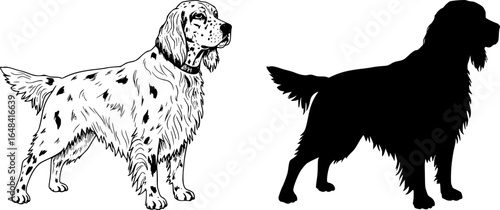 Illustration of two english setter dogs one in outline and one in solid black silhouette style image editable vector