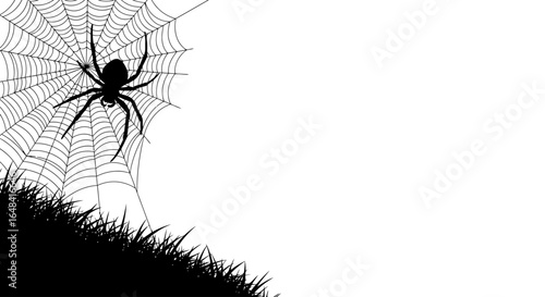 spider silhouette on web in grass halloween design element for invitations posters and creepy themed projects