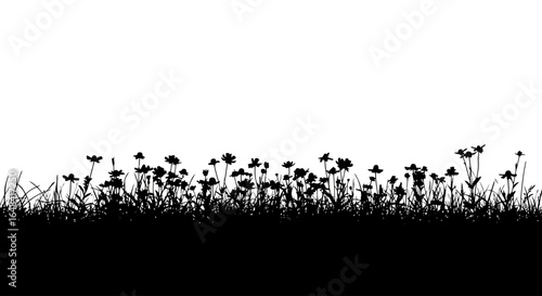 silhouette of wildflowers and grass perfect border for naturethemed designs websites and invitations