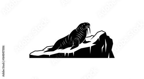 majestic walrus on iceberg striking black and white illustration for arctic wildlife nature and logo designs