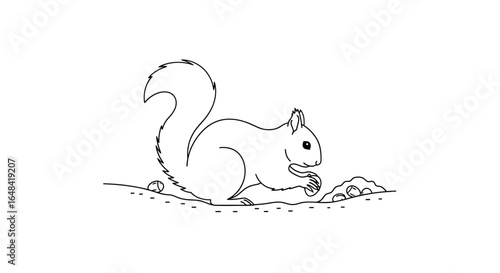 adorable line art squirrel gathering nuts perfect for childrens books educational materials and naturethemed designs