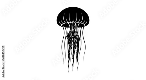 elegant black and white jellyfish illustration perfect for aquatic designs oceanthemed projects and marine biology presentations