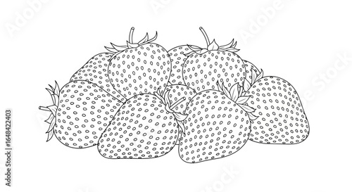 fresh strawberry line art perfect for packaging coloring books recipes and farmfresh branding designs