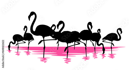 elegant flamingo silhouettes in pink lagoon perfect for tropical wildlife and nature designs websites and branding projects