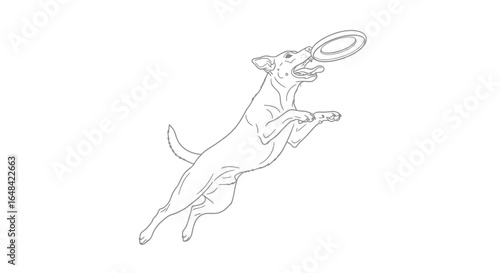 dynamic dog catching flying disc line art for pet websites veterinary clinics and dog training businesses
