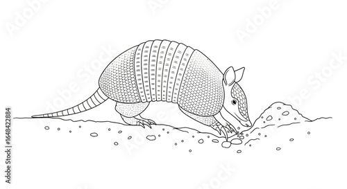 ninebanded armadillo digging for insects a line art illustration perfect for educational materials childrens books and naturethemed designs