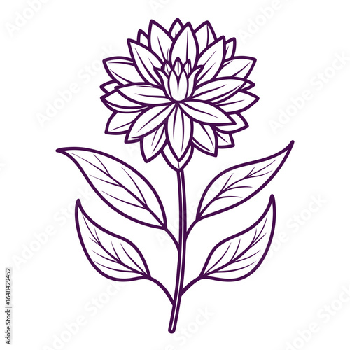 iron weed flower line art vector illustration on white